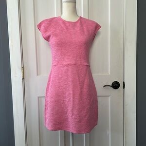 Pink Zara dress